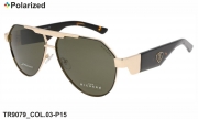 Thom RICHARD очки TR9079 COL.03-P15 polarized