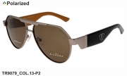 Thom RICHARD очки TR9079 COL.13-P2 polarized