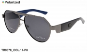 Thom RICHARD очки TR9079 COL.17-P8 polarized
