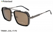 Thom RICHARD очки TR9081 COL.17-P2 polarized