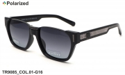 Thom RICHARD очки TR9085 COL.01-G16 polarized