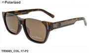 Thom RICHARD очки TR9085 COL.17-P2 polarized