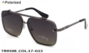 Thom RICHARD очки TR9508 COL.17-G15