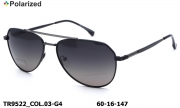 Thom RICHARD очки TR9522 COL.03-G4 titanium polarized