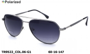 Thom RICHARD очки TR9522 COL.06-G1 titanium polarized