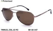 Thom RICHARD очки TR9522 COL.13-P2 titanium polarized