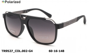 Thom RICHARD очки TR9527 COL.002-G4 polarized