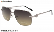 Thom RICHARD очки TR9535 COL.25-G15 polarized