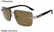 Thom RICHARD очки TR9536 COL.02-P2 polarized