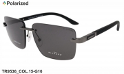 Thom RICHARD очки TR9536 COL.15-G16 polarized