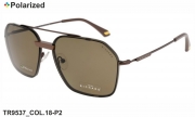 Thom RICHARD очки TR9537 COL.18-P2 polarized