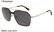 Thom RICHARD очки TR9537 COL.24-P1 polarized