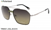Thom RICHARD очки TR9537 COL.25-G15 polarized