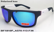 BEACH FORCE очки BF1810P A570-113-F36