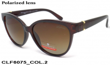 Christian Lafayette очки CLF6075 COL.2