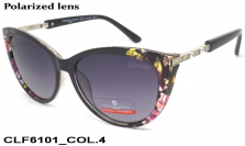 Christian Lafayette очки CLF6101 COL.4