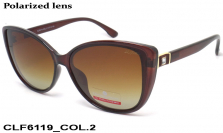 Christian Lafayette очки CLF6119 COL.2