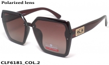 Christian Lafayette очки CLF6181 COL.2