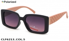 Christian Lafayette очки CLF6213 COL.5