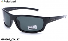 Galileum polarized очки GP0306 COL.17