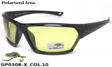Galileum хамелеон очки GP0308-X COL.10