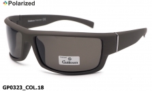 Galileum polarized очки GP0323 COL.18