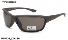 Galileum polarized очки GP0338 COL.18