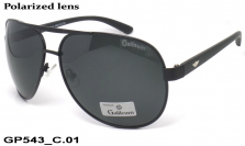 Galileum очки GP543 C.01