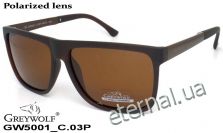 GREY WOLF очки GW5001 C.03P