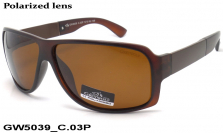 GREY WOLF очки GW5039 C.03P