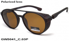 GREY WOLF очки GW5041 C.03P