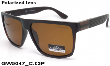 GREY WOLF очки GW5047 C.03P