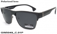 GREY WOLF очки GW5049 C.01P