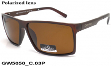 GREY WOLF очки GW5050 C.03P