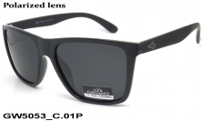 GREY WOLF очки GW5053 C.01P