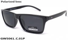 GREY WOLF очки GW5061 C.01P
