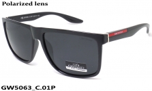GREY WOLF очки GW5063 C.01P
