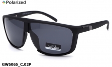 GREY WOLF очки GW5065 C.02P