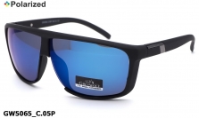 GREY WOLF очки GW5065 C.05P