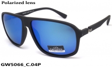 GREY WOLF очки GW5066 C.04P