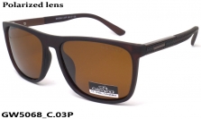 GREY WOLF очки GW5068 C.03P