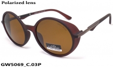 GREY WOLF очки GW5069 C.03P