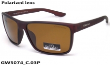 GREY WOLF очки GW5074 C.03P