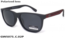 GREY WOLF очки GW5075 C.02P