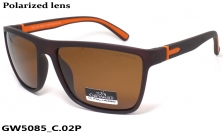 GREY WOLF очки GW5085 C.02P