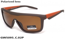GREY WOLF очки GW5095 C.02P