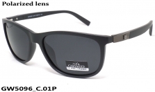 GREY WOLF очки GW5096 C.01P