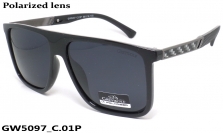 GREY WOLF очки GW5097 C.01P
