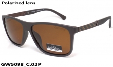 GREY WOLF очки GW5098 C.02P
