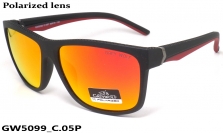GREY WOLF очки GW5099 C.05P